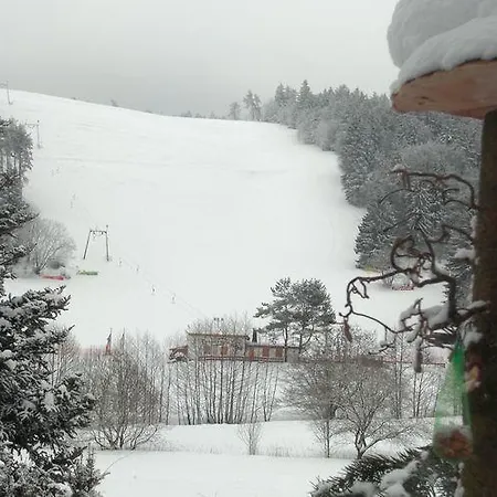 Ferienwohnung Usseln 1 Lägenhet Willingen (Upland)